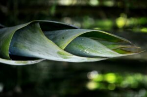 diamond chroy 7YFnqO8lF0M unsplash diamond chroy 7YFnqO8lF0M unsplash